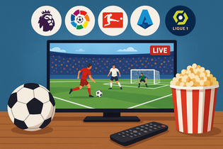 数钱大师红包版游戏主界面